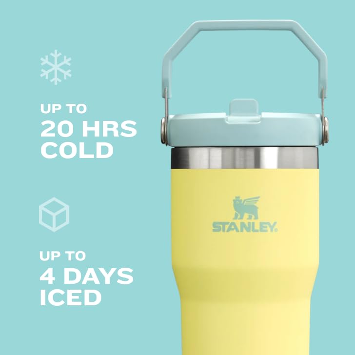 Stanley IceFlow Tumbler with Handle, Twist-On Lid and Flip-Up Straw, Leak-Resistant Water Bottle, Insulated Stainless Steel, BPA-Free, 887 ml, Grapefruit